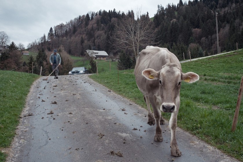 Foto di Alfio Tommasini