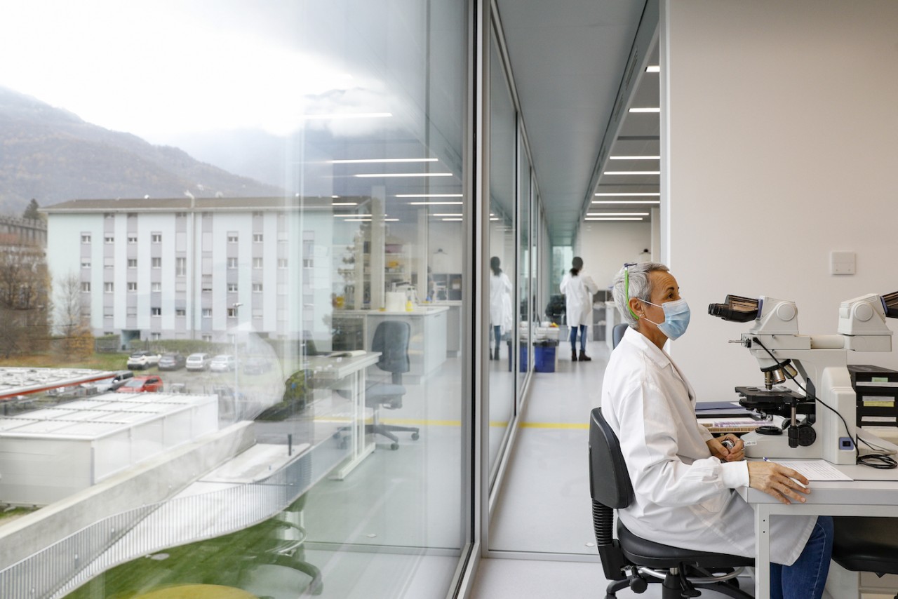 Ricercatori al lavoro nel palazzo che ospita Bios+, a Bellinzona (foto di Loreta Daulte) 