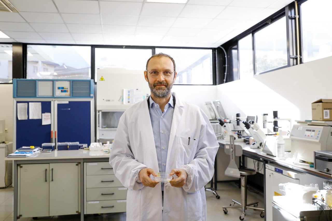 Matteo Moretti, Leiter des Labors für Regenerative Medizin am EOC (Foto: Loreta Daulte)