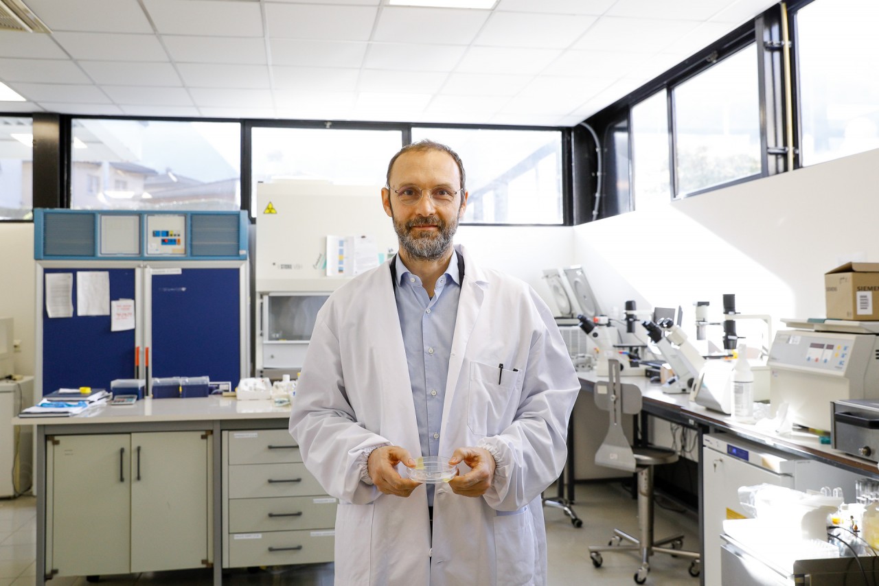 Matteo Moretti, responsabile del laboratorio di Medicina rigenerativa EOC (foto di Loreta Daulte)