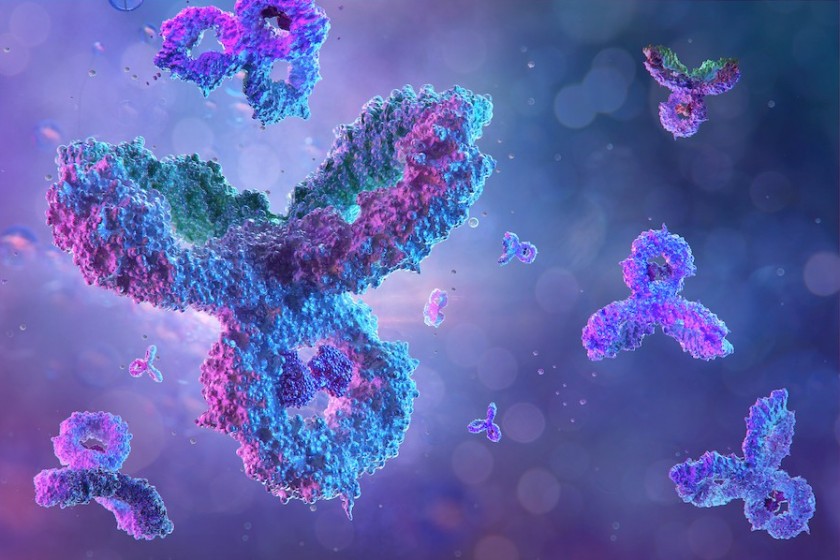 Immagine di anticorpi ricostruita al computer (foto Shutterstock)