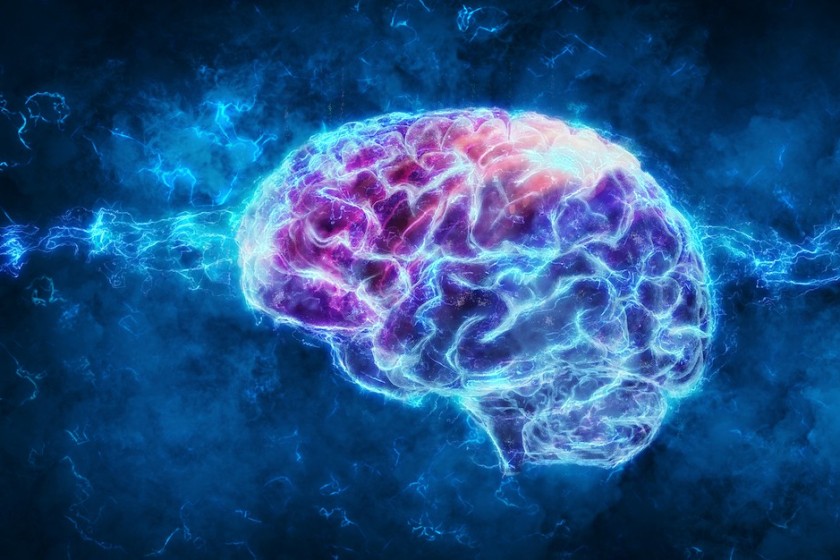 Illustrazione in 3D del cervello (© Andrus Ciprian - agenzia Shutterstock)   