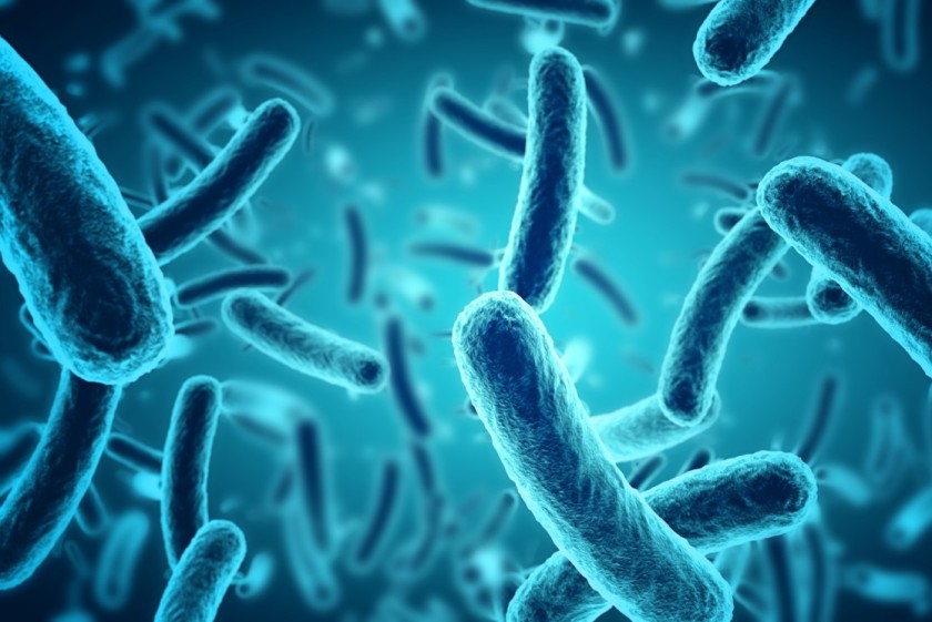 Immagine al microscopio di batteri, rielaborata in 3D dal computer (foto dell’agenzia Shutterstock)