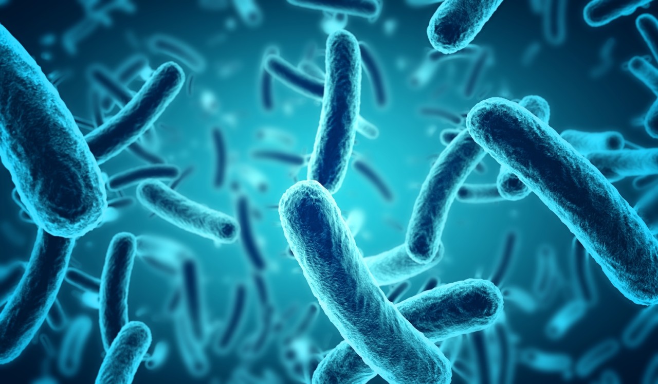 Immagine al microscopio di batteri, rielaborata in 3D dal computer (foto dell’agenzia Shutterstock)