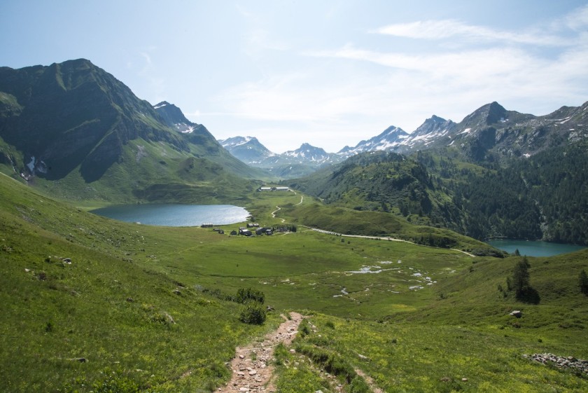 Le regioni alpine sono un ecosistema complesso e interconnesso (foto FASV)