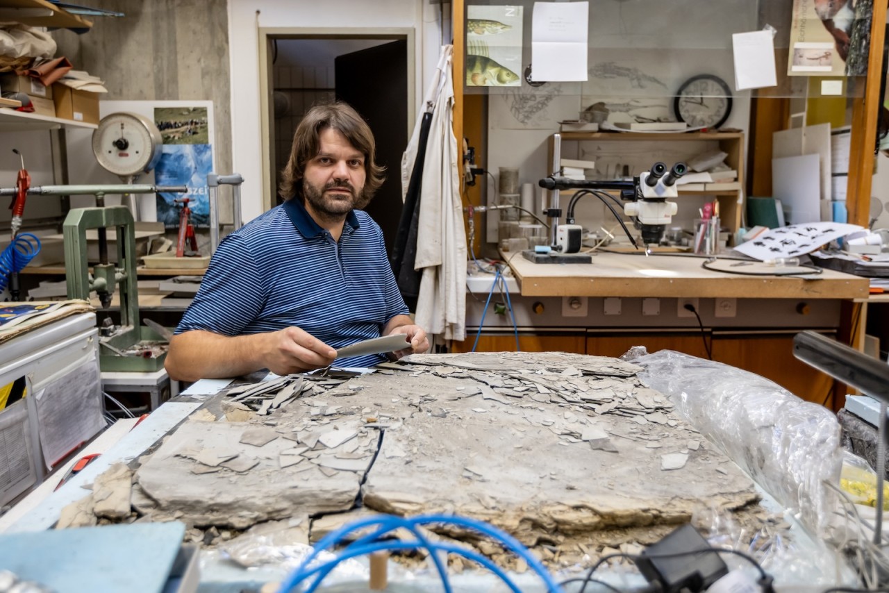 Fabio Magnani, paleontologo del Museo cantonale di storia naturale (foto di Chiara Micci/Garbani) Fabio Magnani, paleontologo del Museo cantonale di storia naturale (foto di Chiara Micci/Garbani)