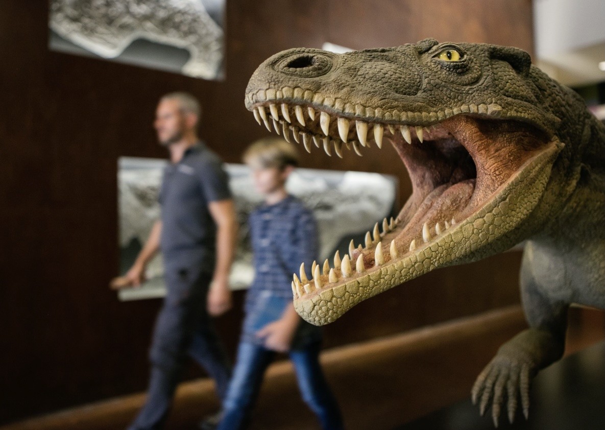 Ticinosuchus ferox all’entrata del Museo dei fossili del Monte San Giorgio (© L. Daulte / Ticino Turismo). Questo animale non era un dinosauro, ma un arcosauro basale, cioè un parente primitivo sia dei coccodrilli, sia dei dinosauri/pterosauri. 