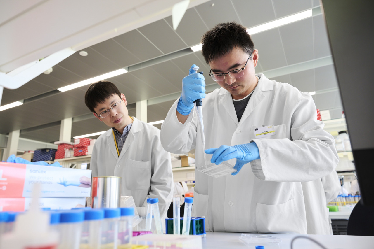 Ricercatori cinesi nei laboratori dello IOR a Bellinzona (foto di Michela Locatelli) 