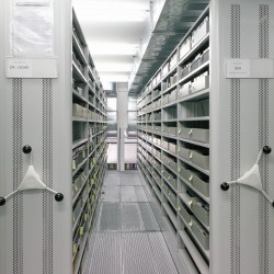 Schau in die Galerie