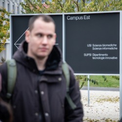 Schau in die Galerie